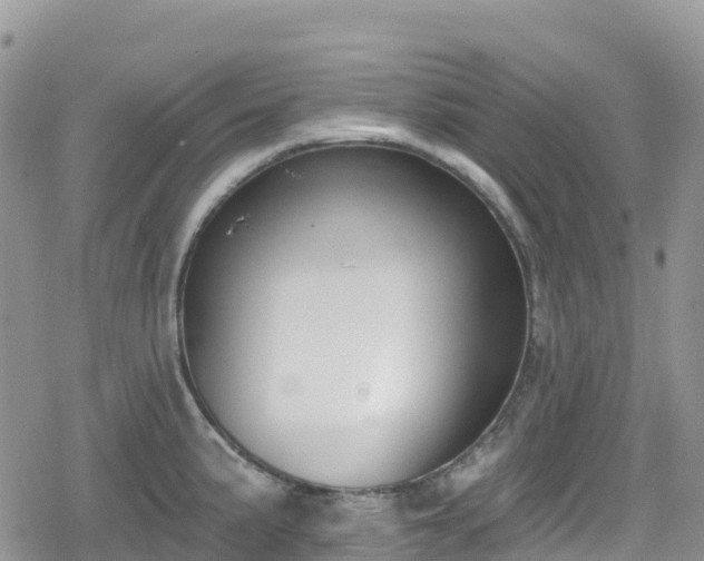 X0000078851191200611201331
