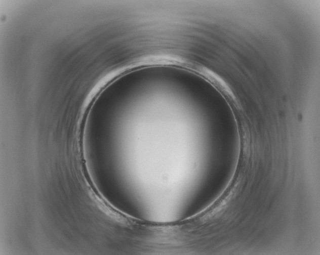 X0000078851192200611201331