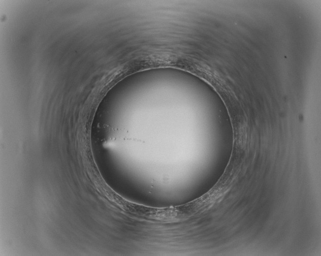 X0000078851201200611201330