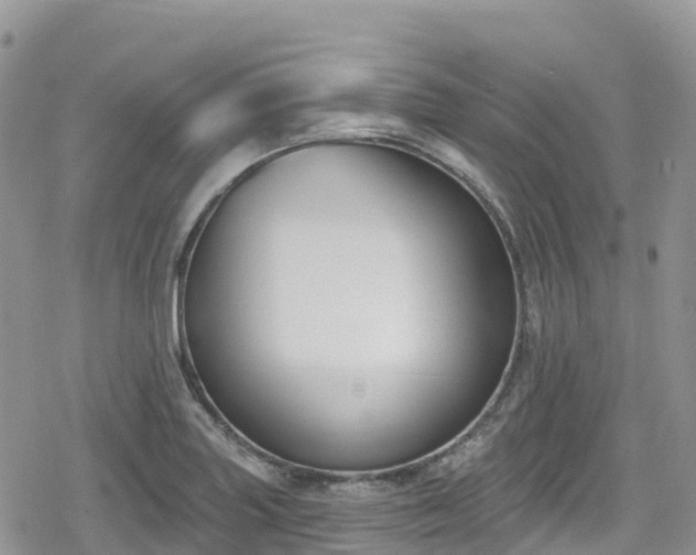 X0000078851227200611201330