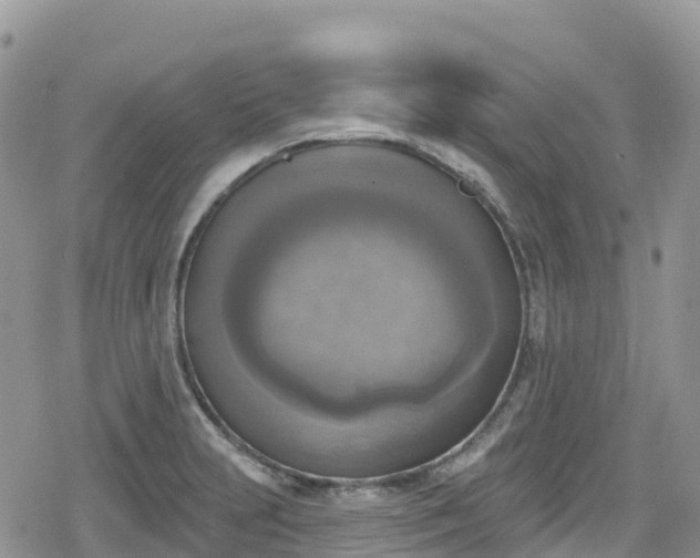 X0000078851231200611201330