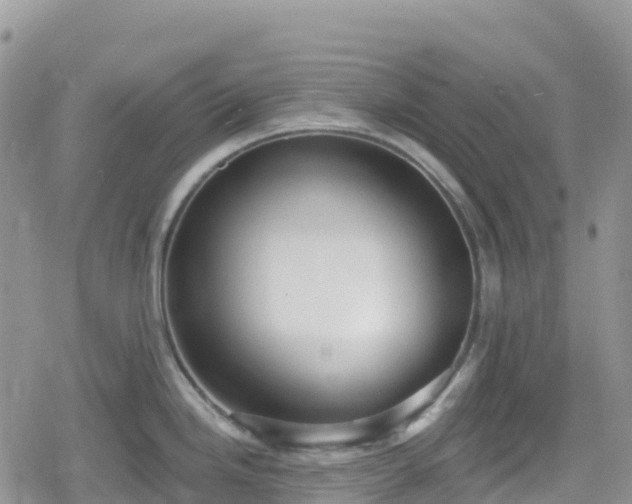 X0000078851246200611201330
