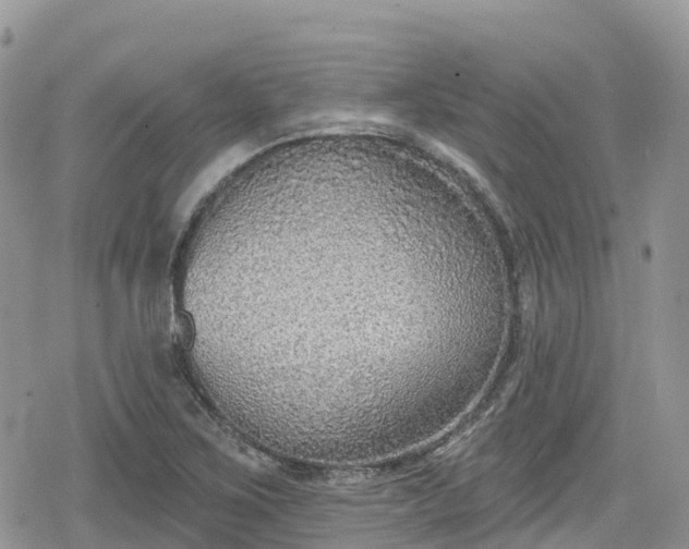 X0000078851267200611201329