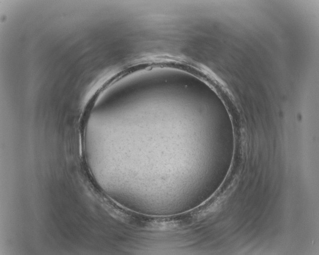 X0000078851269200611201329