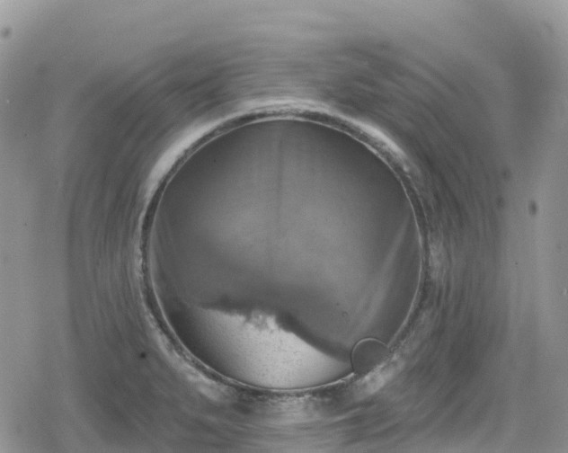 X0000078851279200611201329