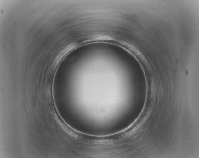X0000078851281200611201329