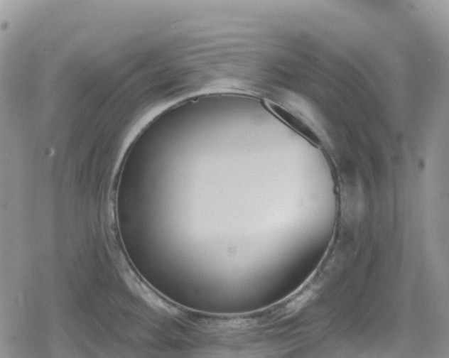 X0000078851292200611201329