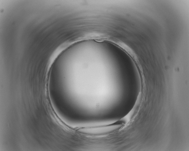 X0000078851296200611201329