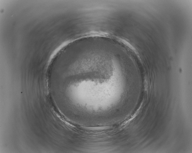 X0000078851310200611201328
