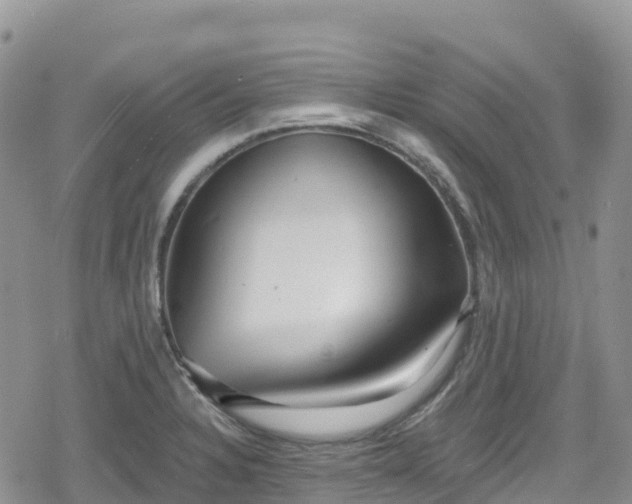 X0000078851328200611201329