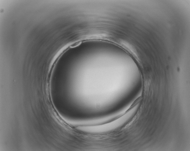 X0000078851340200611201329