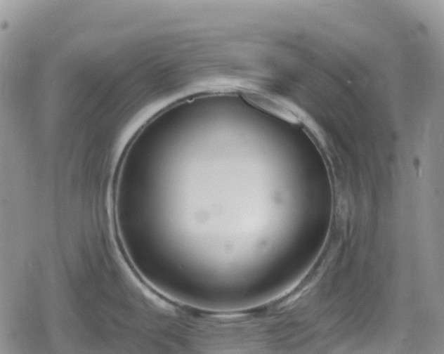 X0000078851343200611201329