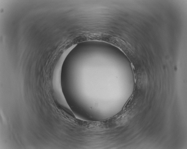 X0000078851345200611201328