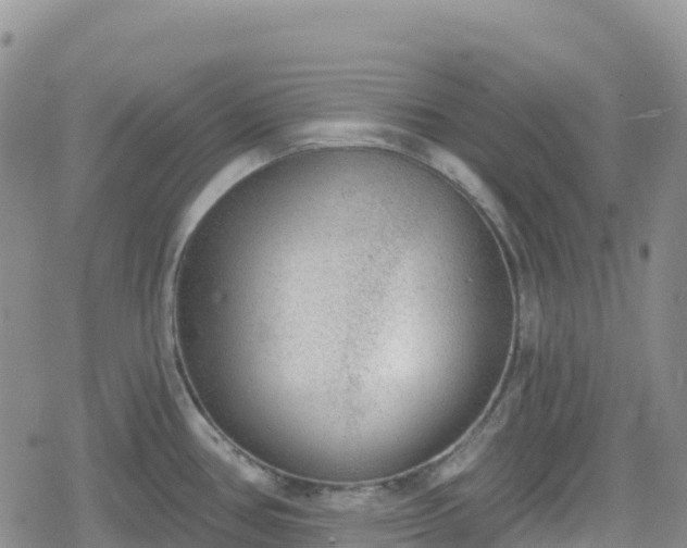 X0000078851386200611201327