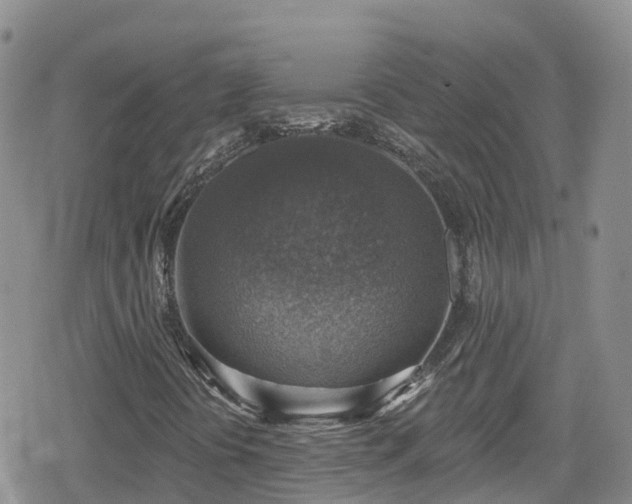 X0000078851394200611201327