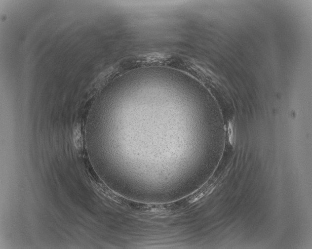 X0000078851395200611201327