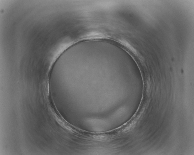 X0000078851413200611201327