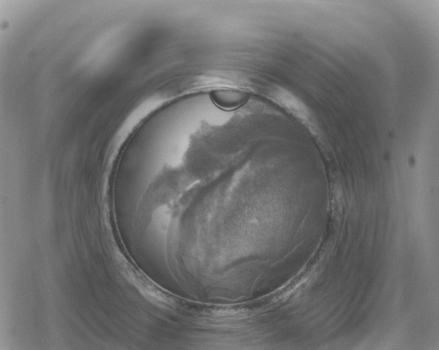 X0000078851427200611201327