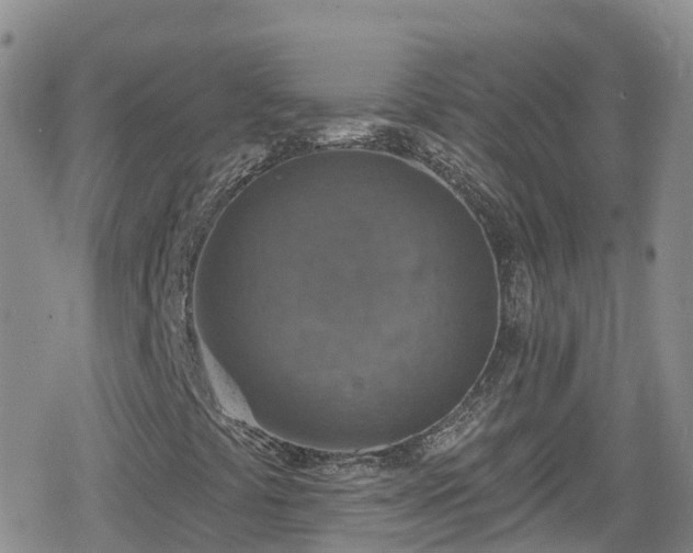 X0000078851441200611201327
