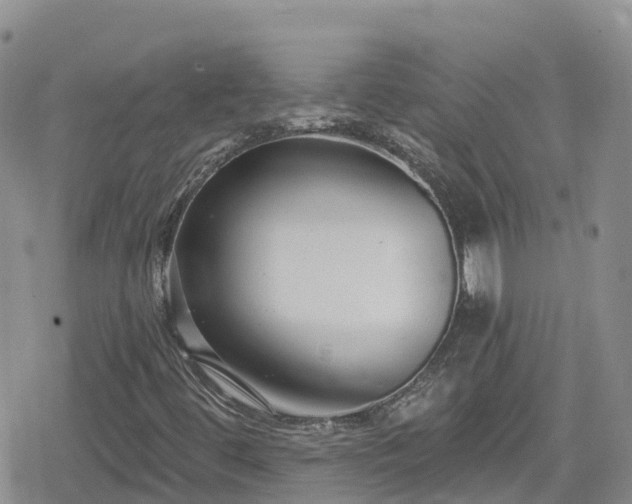 X0000078851444200611201326