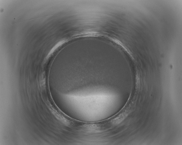 X0000078851450200611201326