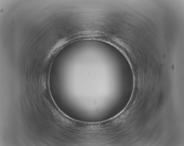 X0000078851451200611201326