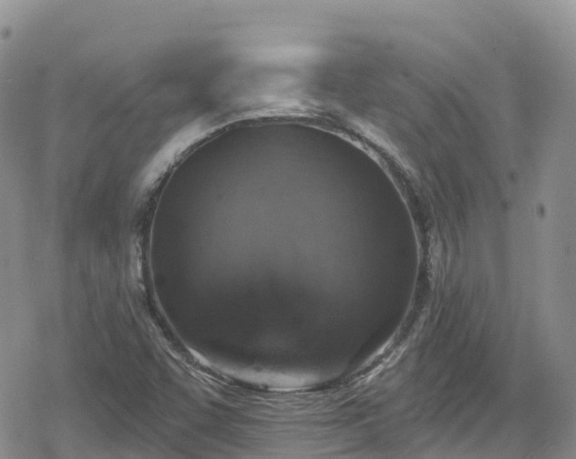 X0000078851455200611201326