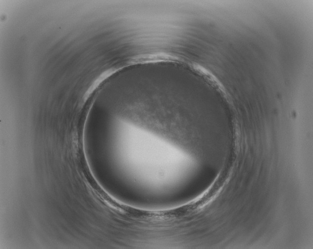 X0000078851457200611201326