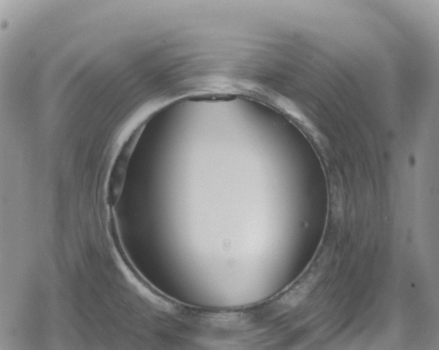 X0000078851479200611201326