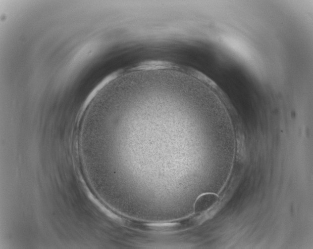 X0000078851487200611201326
