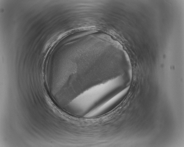 X0000078850002200611271358