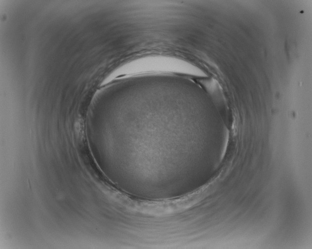 X0000078850029200611271358