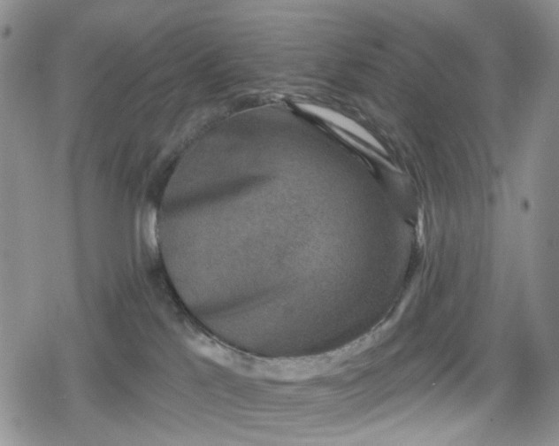 X0000078850041200611271358