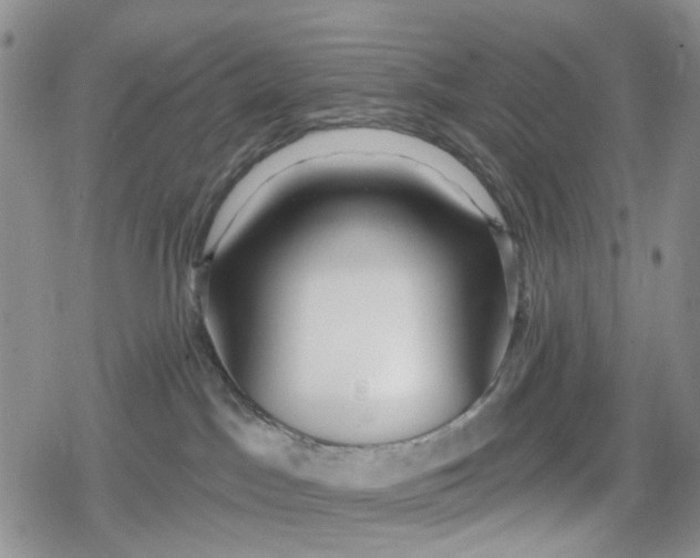 X0000078850045200611271358