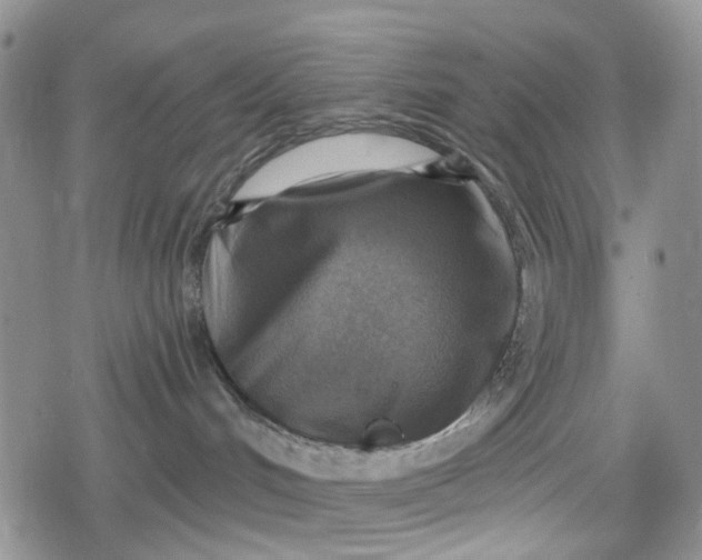 X0000078850048200611271358