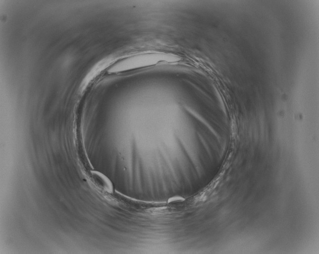 X0000078850054200611271357