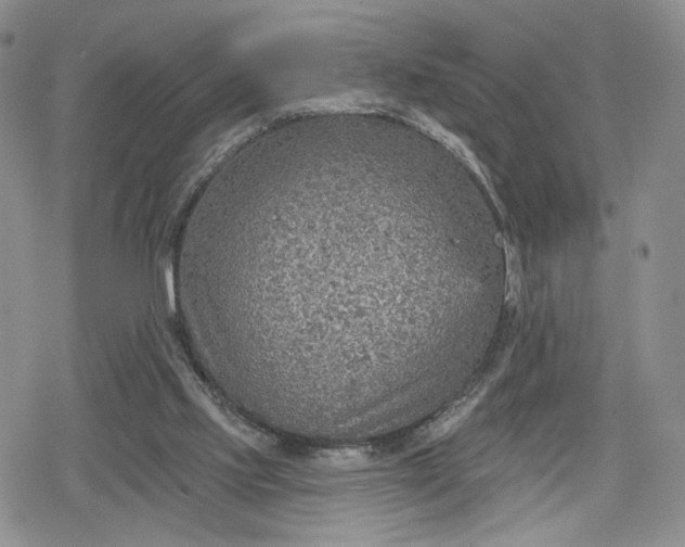 X0000078850061200611271357