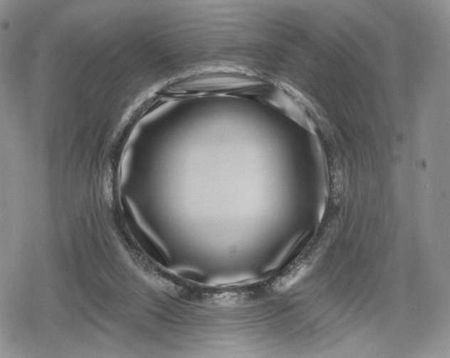 X0000078850064200611271357