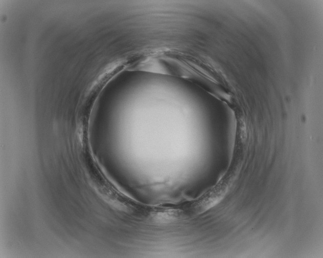 X0000078850072200611271357