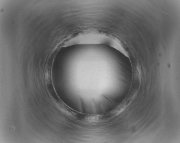 X0000078850084200611271357
