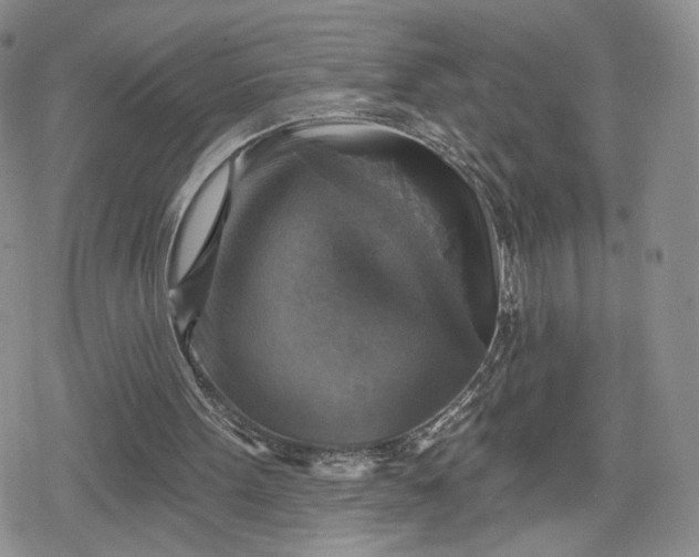 X0000078850099200611271357