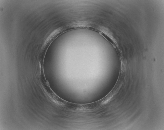 X0000078850109200611271357