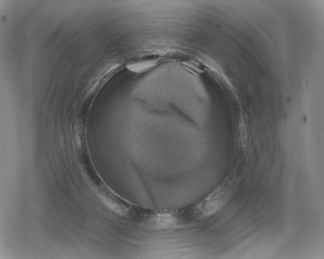 X0000078850114200611271356