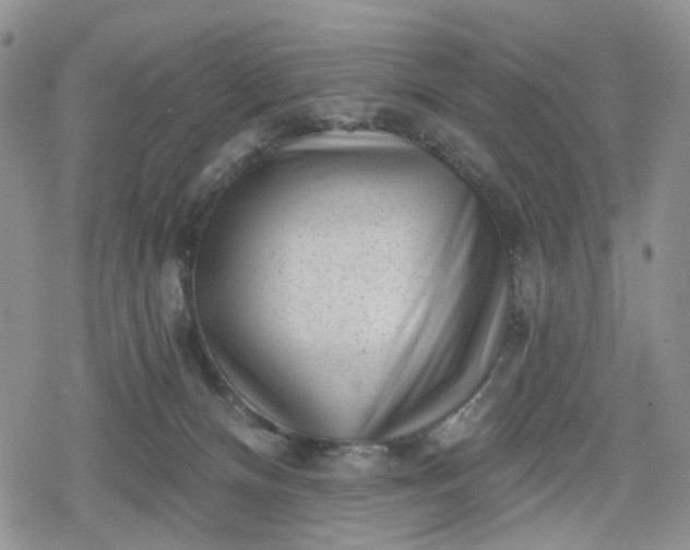 X0000078850128200611271356