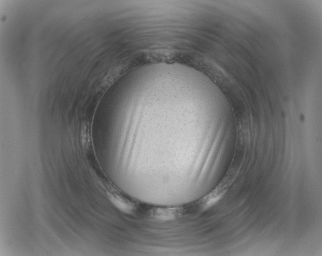 X0000078850134200611271356