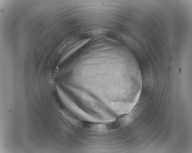 X0000078850140200611271356