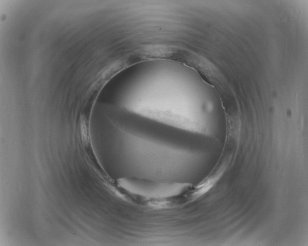 X0000078850143200611271356