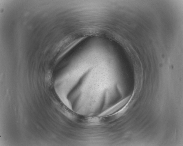 X0000078850144200611271356