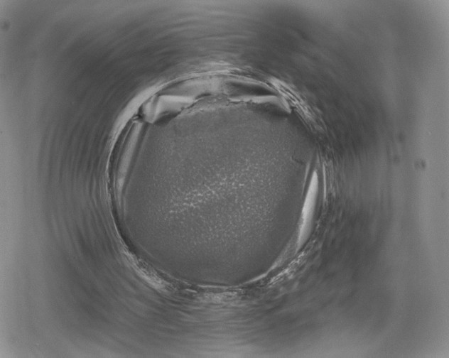 X0000078850147200611271355