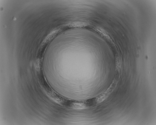 X0000078850167200611271356